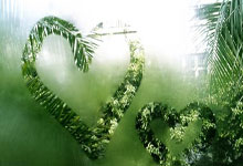 虎扑体育：运动智囊团：初次攀登高海拔山峰需要哪些准备？.