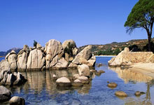 虎扑体育：德转预测德国vs意大利首发阵容.